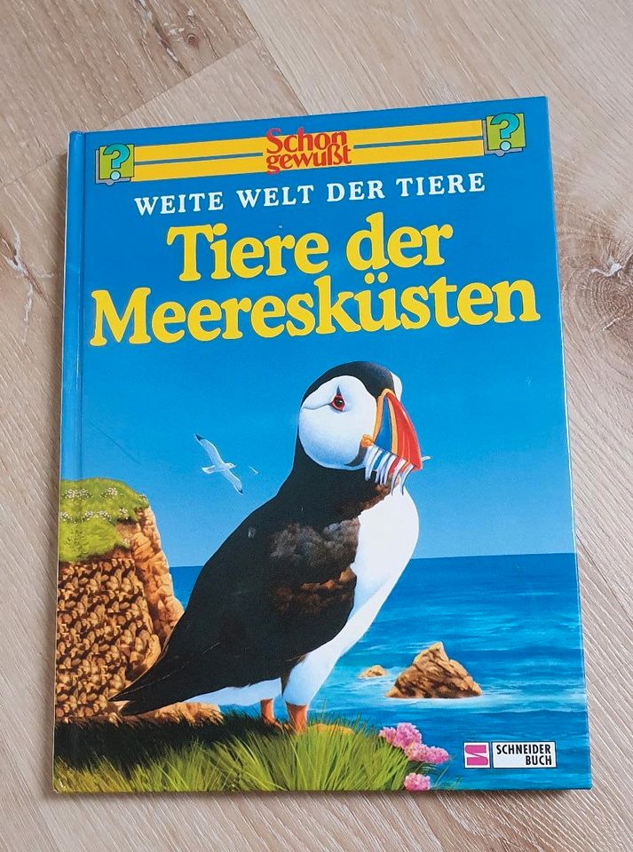 Buch Schon gewußt Tiere der Meeresküste in Trappenkamp