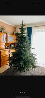Baum Weihnachtsbaum Hallerts  210cm Hessen - Kronberg im Taunus Vorschau