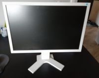 LCD Monitor Eizo FlexScan S 2202 W, hellgrau, neuwertig Niedersachsen - Barsinghausen Vorschau