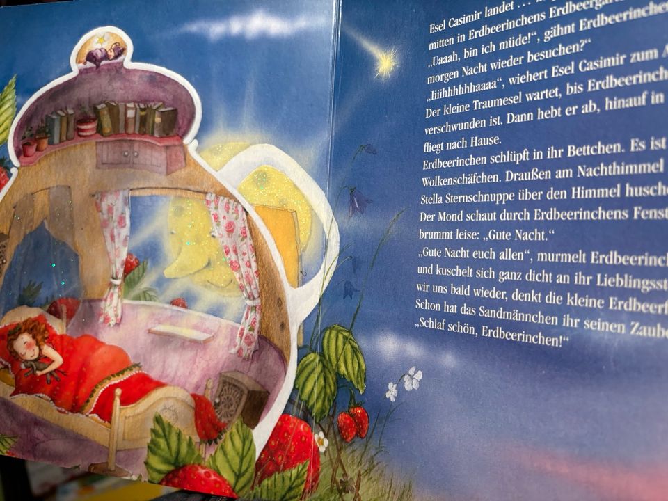 Träum schön, kleine Erdbeerfee! * Kinderbuch in Dresden