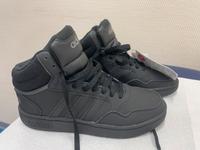 Adidas hohe Sneaker NEU Niedersachsen - Borkum Vorschau