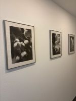 3er Bilderserie Bild mit silbernem Rahmen 40 x 50cm Nordrhein-Westfalen - Siegen Vorschau