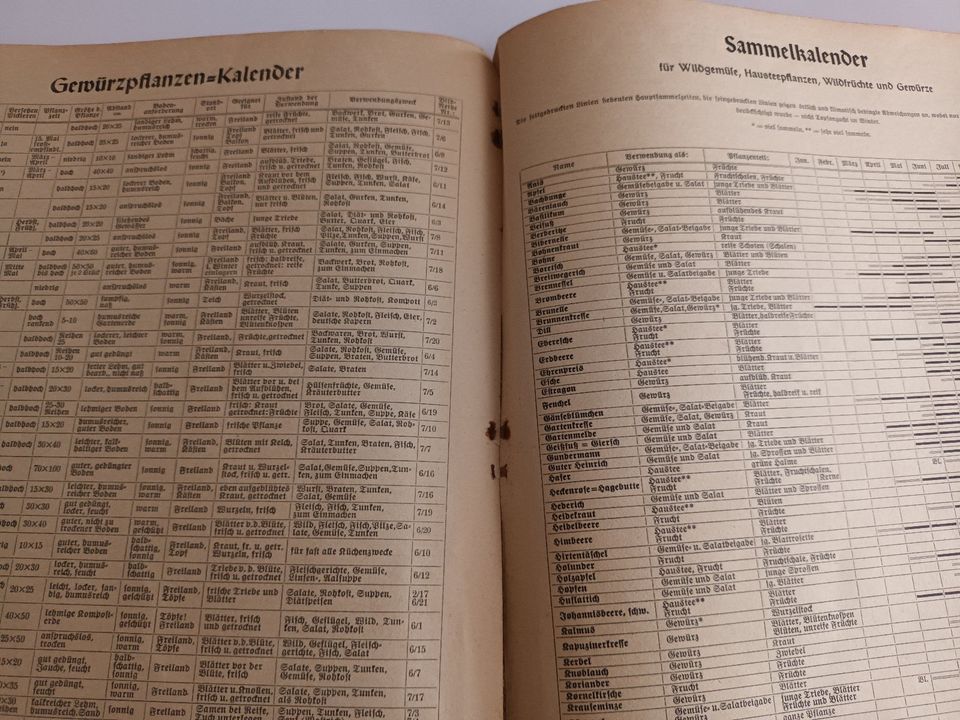 Heft - Pflanzen-Atlas 1 von 1940 (gebrauchter Zustand) in Birkenfeld