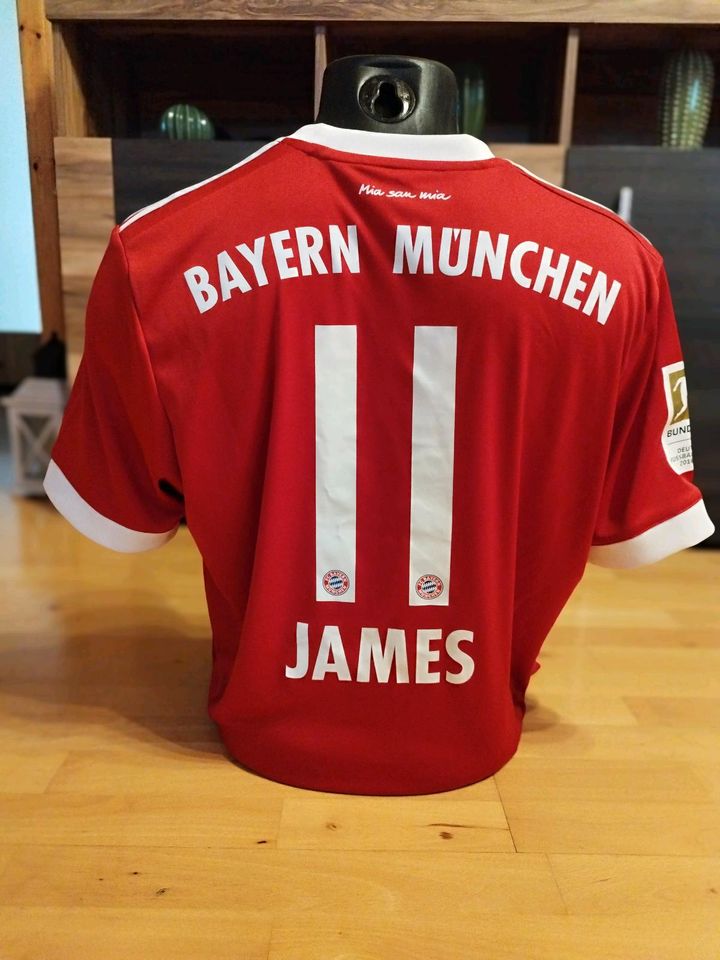 Original JAMES Bayern München Trikot L 17/18 AZ7961 Rodriguez rot in Limburg