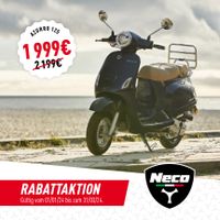 NECO Azzuro GP125 Roller | Scooter | NEU | A1/B196 | matt grey Schleswig-Holstein - Siebenbäumen Vorschau