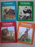 Kinderbücher Tierkinder Lernbücher A4 4 Stück Neuwertig Thüringen - Döllstädt Vorschau