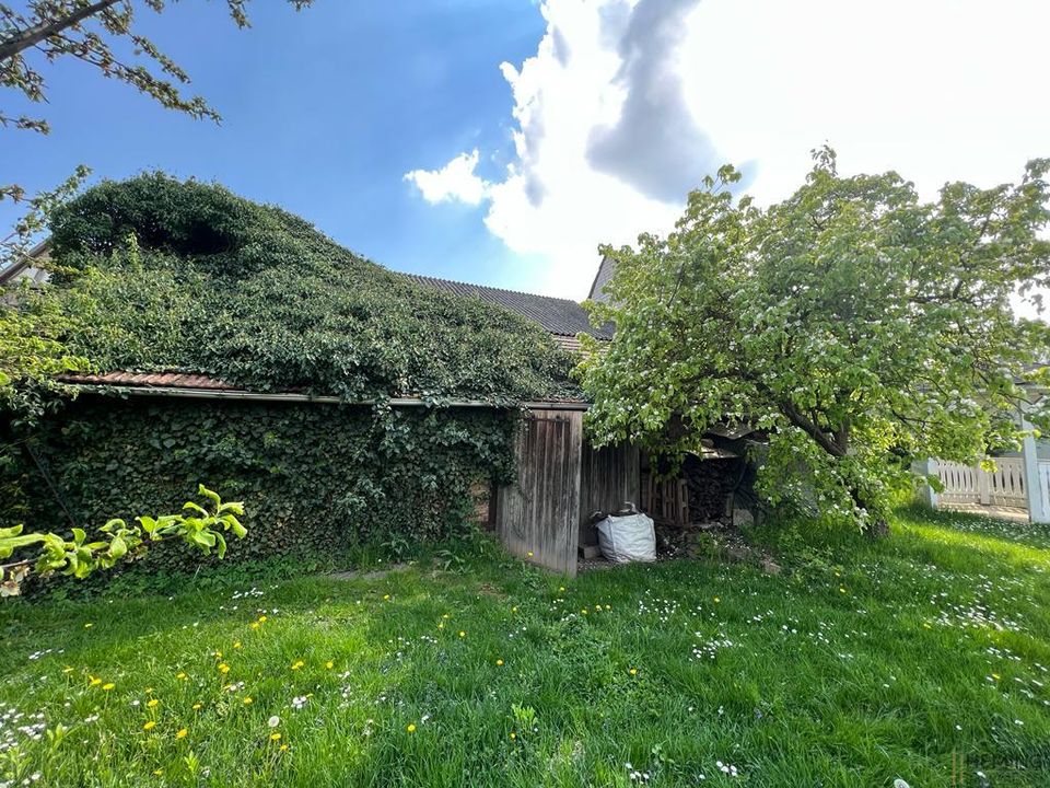 HEMING-IMMOBILIEN -  Grundstück im Herzen von Schornsheim mit vielen Möglichkeiten!!! in Schornsheim