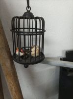 Deko ,kleiner Dekovogelkäfig, Sachsen-Anhalt - Straach Vorschau