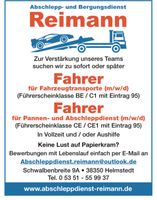 KRANFAHRER FÜR MOBIL- UND LADEKRANE (M/W/D) gesucht Niedersachsen - Helmstedt Vorschau