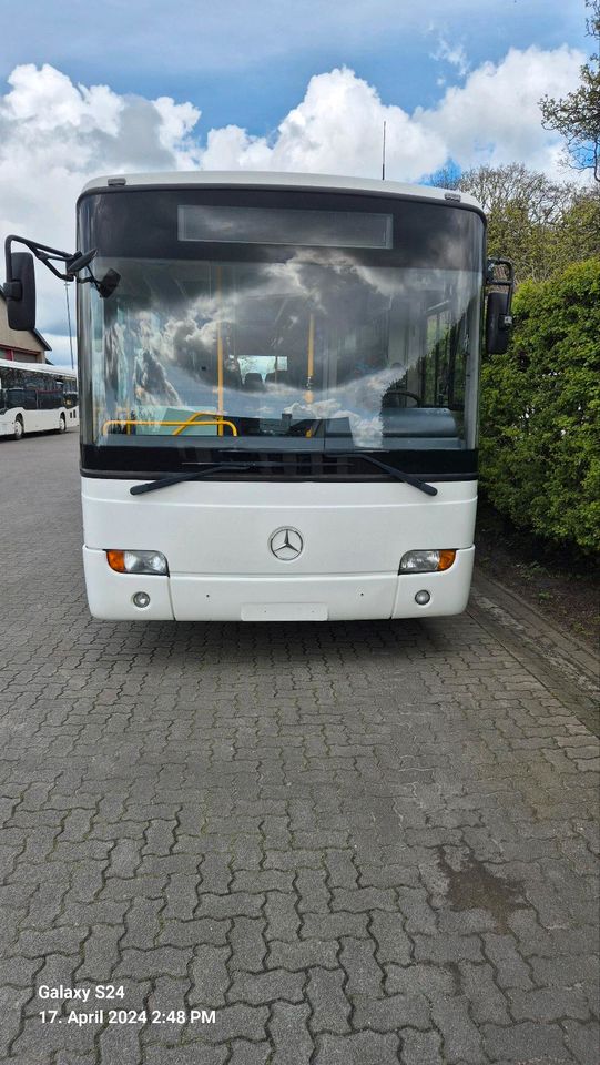 Mercedes Benz Conecto in Eggebek