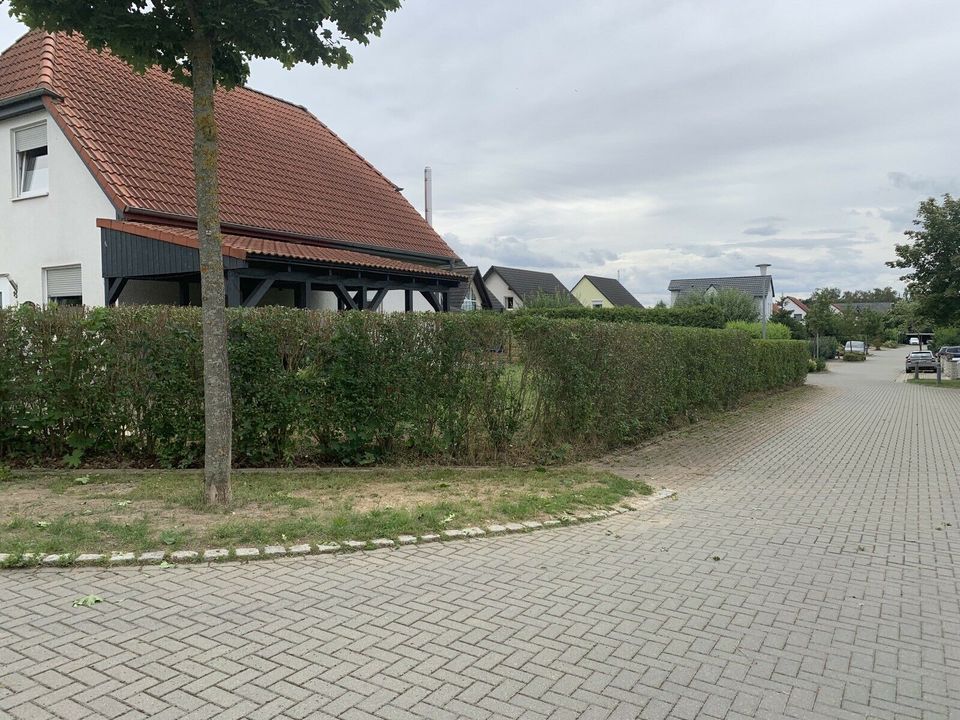 Gartenarbeiten vom Gärtner / Fachmann Heckenschnitt in Eilsleben