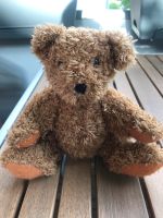 Knuffiger Teddybär München - Pasing-Obermenzing Vorschau