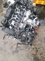 Motor   CBA 2.0TDI 140PS  47TKM   AUDI VW SKODA SEAT  komplett Mecklenburg-Vorpommern - Neubrandenburg Vorschau