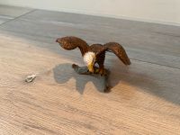 Weißkopfseeadler Schleich Köln - Köln Klettenberg Vorschau