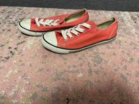 Converse gr.36 Bayern - Schwabach Vorschau