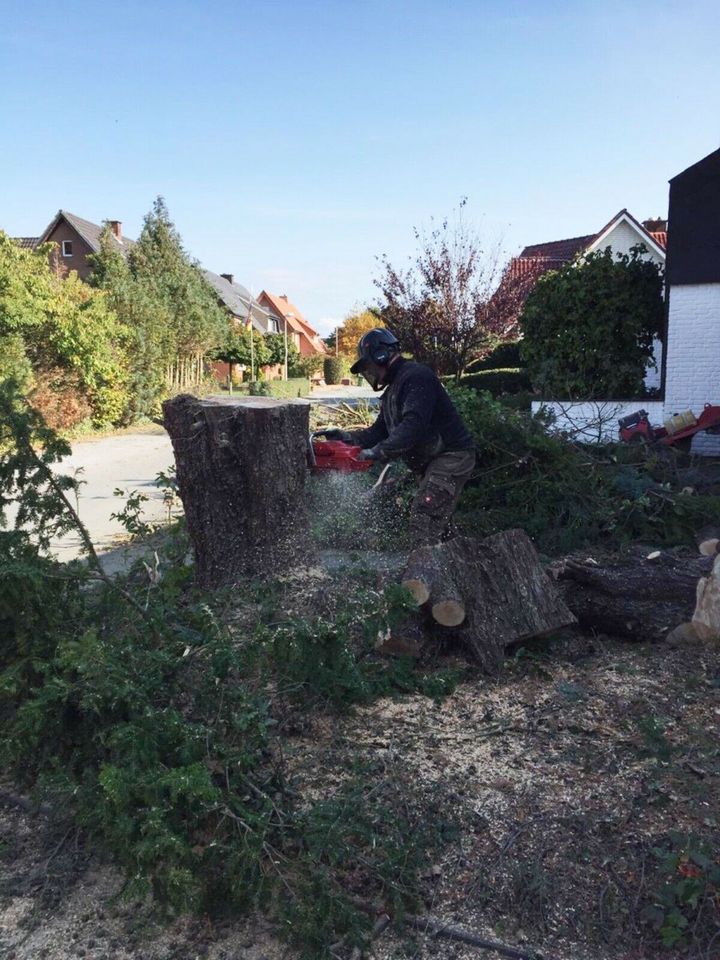Baumpflege  / Sturmschaden / Stubbenfräsen / Baumfällung in Erwitte