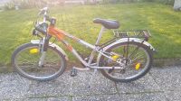 Kinderfahrrad jugendfahrrad ktm wild one Hessen - Bad Homburg Vorschau