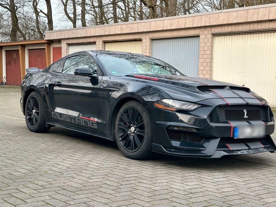 FORD MUSTANG 3,7 GT350 FACELIFT SHELBY LPG in Dortmund