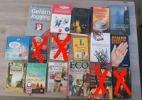 Diverse Romane /Bücher unterhaltung historisch asien link Rheinland-Pfalz - Hönningen Vorschau