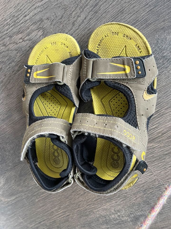 Sandalen  Ecco Gr 32 ⭐️⭐️⭐️ in Dallgow