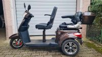 E-Dreiradroller Econelo Billy 2.0 E-Trike Baden-Württemberg - Lauffen Vorschau