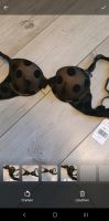 Sexy Pünktchen BH schwarz Gr. 75B *Neu* Bayern - Schwabach Vorschau