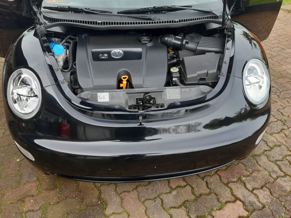 VW New Beetle Cabrio 1.6 102 PS Klima tiefer super Zustand!! in Bad Bramstedt