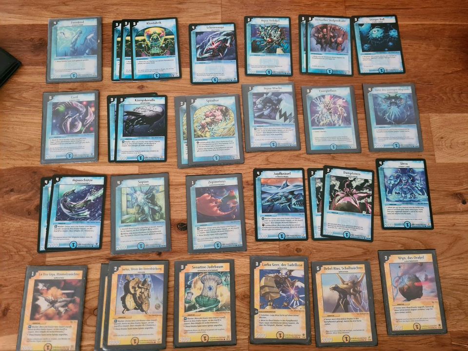 Duel Masters Karten Sammlung in Wasserburg am Inn