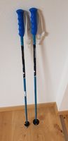 Skistöcke, 100 cm Bayern - Wiesent Vorschau