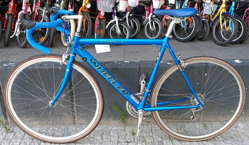 Wheeler 4100 Racing 28" Rennrad 56cm Alu Campagnolo *TOP Zustand* in Berlin