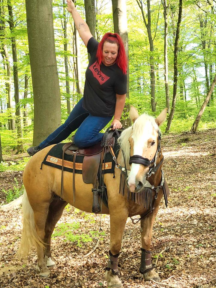 Palomino-Stute-Freizeitpferd in Urbach Westerw