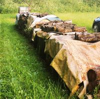 Holz  (Buche) 7,5 RM Thüringen - Melpers Vorschau