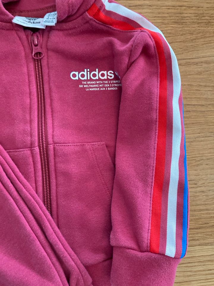 Adidas Anzug Gr. 80 pink in Maintal