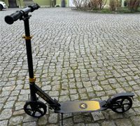 Apollo Kinder Scooter Spectre Pro Sachsen - Großröhrsdorf Vorschau