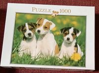 Puzzle,Hunde,Welpen,1000 Teile,Hobby,Zeitvertreib,puzzeln Nordrhein-Westfalen - Gütersloh Vorschau