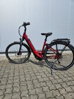 E-Bike Pegasus Evo 10 Lite, nur 410 km, sehr guter Zustand ! Bayern - Elsenfeld Vorschau