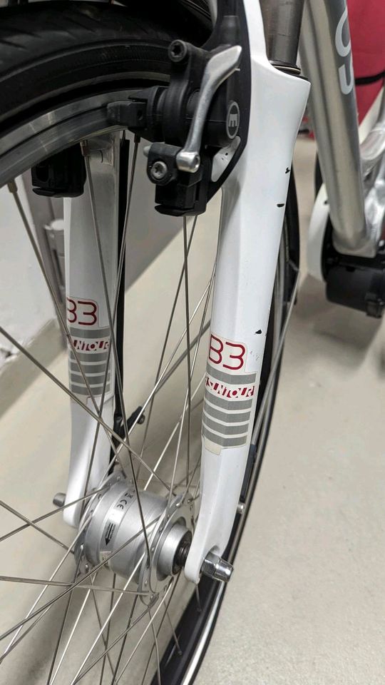 E-Bike/Pedelec Minora-Staiger Sinus B17 in Fürth