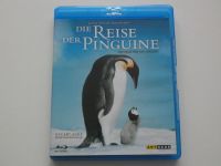 Die Reise der Pinguine Blu-ray Parchim - Landkreis - Leezen MV Vorschau