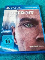 Detroit Become Human Herzogtum Lauenburg - Geesthacht Vorschau