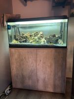 Aquarium mit Schrank und Zubehör. 120 Liter Bayern - Gerolzhofen Vorschau