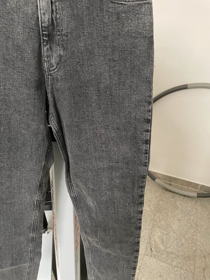 Calvin Klein Jeans w26 Model Mom grau wie neu in Bad Salzuflen