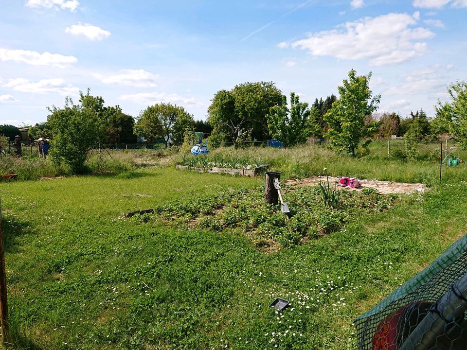 Gartenparadies sucht Hilfe  "Зелёный рай ищет помощь in Magdeburg