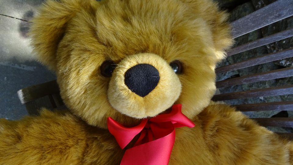 Teddybär 70 cm in Witten