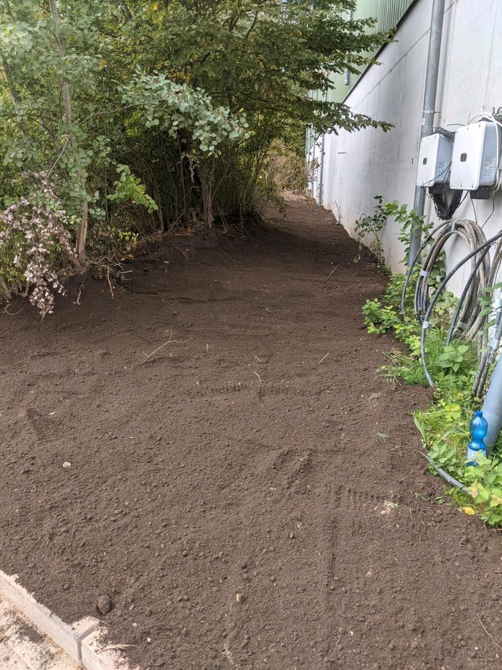 Bagger - Baggerarbeiten - Erdbau - Abriss in Alfeld (Leine)