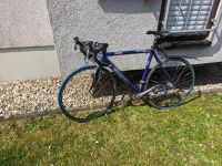 Canyon Roadlite blau, Rennrad Ultegra, RH 56, Gewicht ~9.5kg Baden-Württemberg - Karlsruhe Vorschau