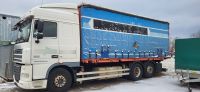 DAF XF 105 SC 26.410 Retarder Rheinland-Pfalz - Germersheim Vorschau