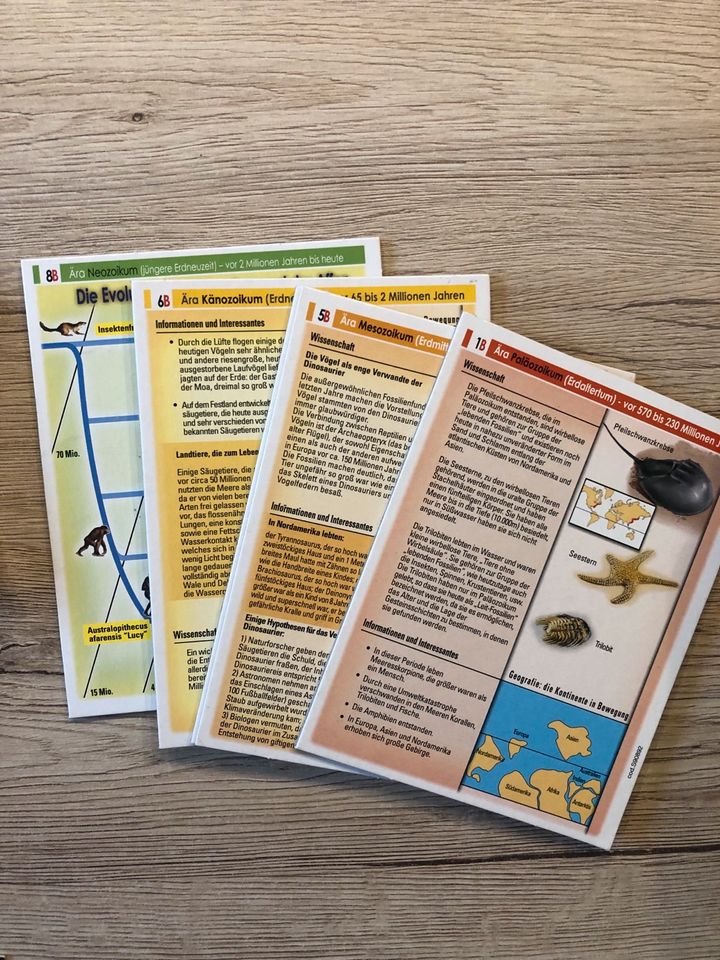 Spielesammlung, 4x Gesellschaftsspiele- Dinosaurier in Ahrensfelde