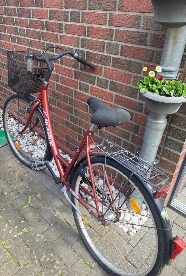 Fahrrad - IKARUS in Hamburg