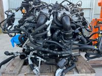 Motor Alfa Romeo Giulia Stelio Q4 2.9T 510PS komplett NEU Sachsen - Torgau Vorschau