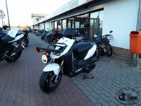 NEUFAHRZEUG Kymco AGILITY CARRY 125i CBS Lastenroller,Pizzaroller Bad Doberan - Landkreis - Bad Doberan Vorschau